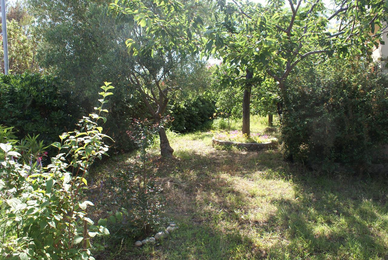 Apartment Ana M Krk Town Zewnętrze zdjęcie